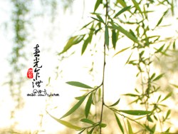 共青森林公园之春光乍泄