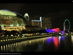 再会新加坡之夜