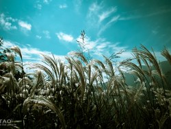 嵩山九龙潭－俊极峰&nbsp;路过美景