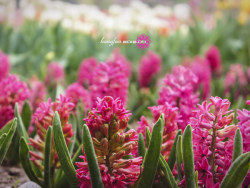 忆一二年的[春]