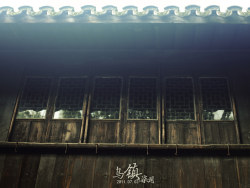 酷暑乌镇不完全游记-壹