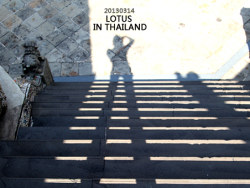 IN&nbsp;THAI&nbsp;赵鑫&nbsp;莲花帝国&nbsp;游记&nbsp;摄影