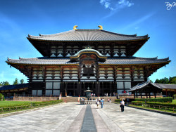 RoyWang作品 奈良之夏