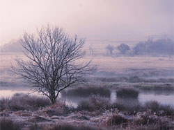 神农架·大九湖