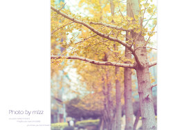 静谧的时光~昆明