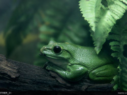 北京动物园拍摄