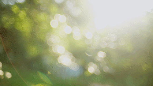 喜欢初夏透着光的树林（图ZNDk1NjgwMDg=） - 人像摄影 - 站酷设计师洗衣机它转疯了原创素材 - 站酷ZCOOL