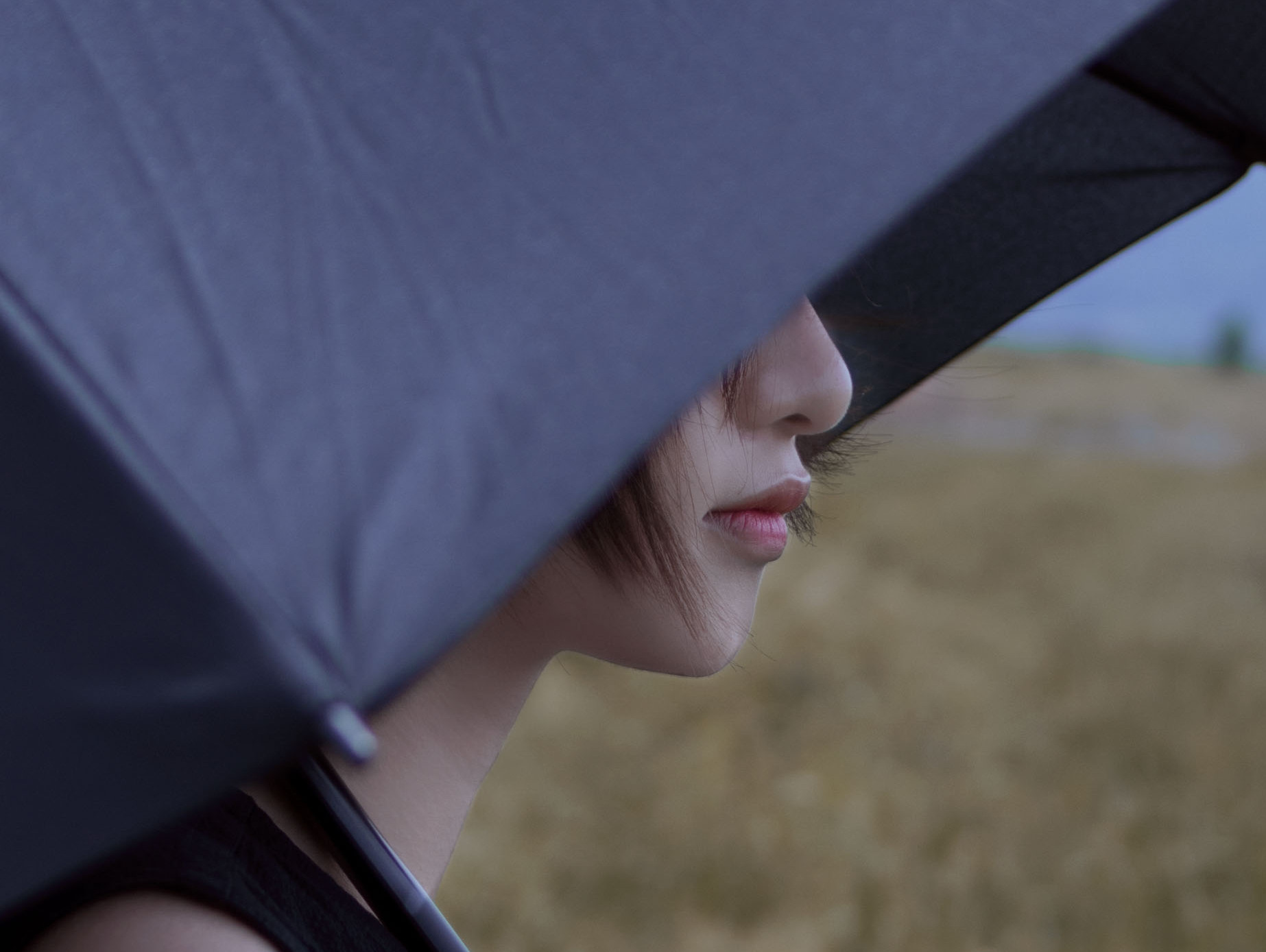 伞下又是一个雨天