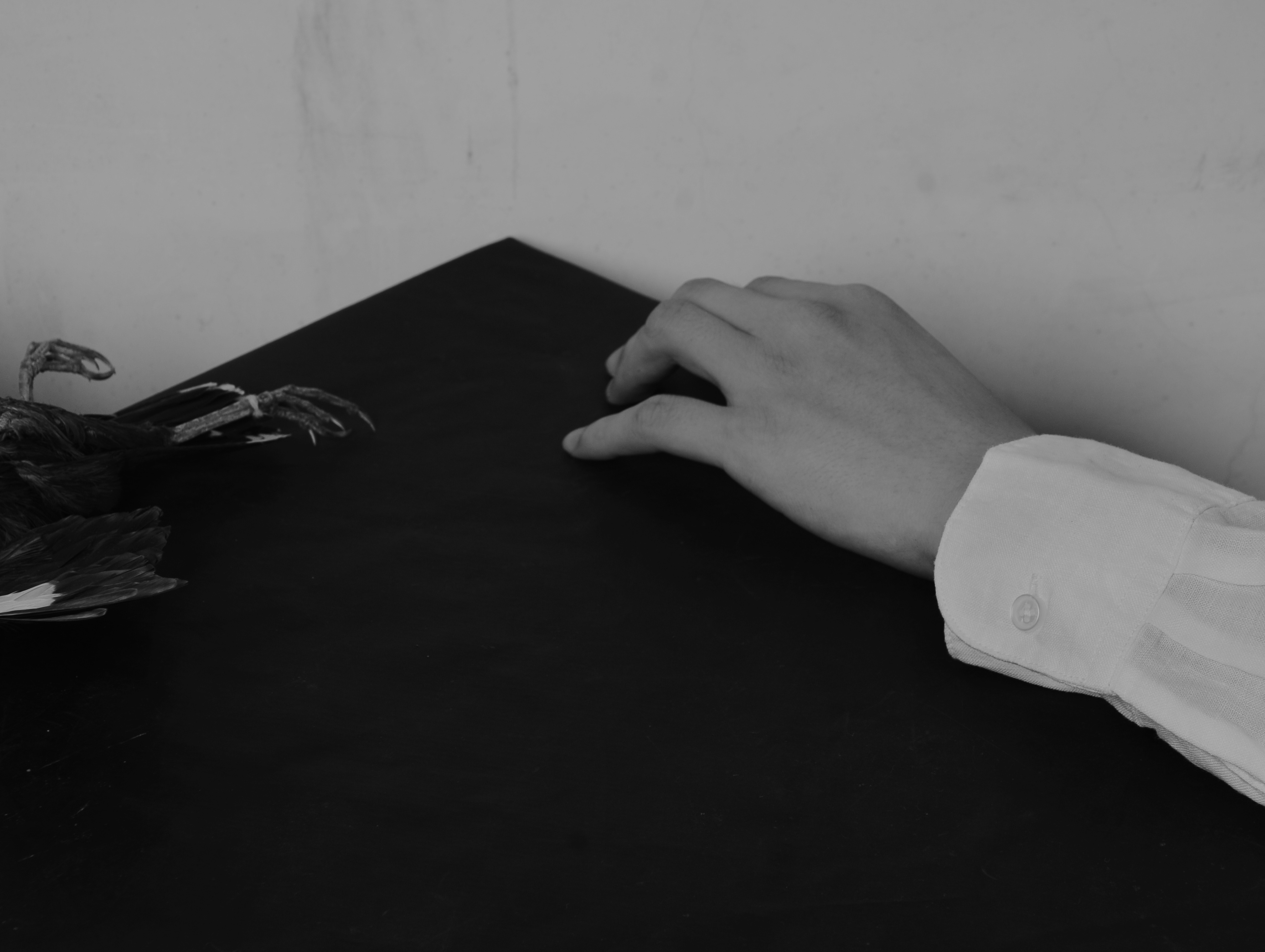 【思念的墓园】