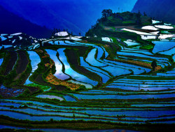 「小梯田大色彩」