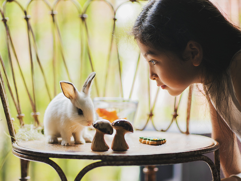 小米的夏天（三）——兔兔别跑