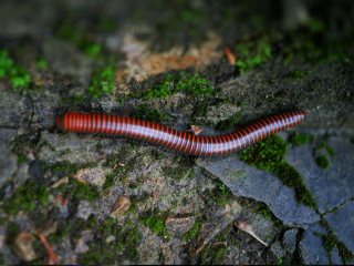小黑卡日志-五月-夏の物语（二）