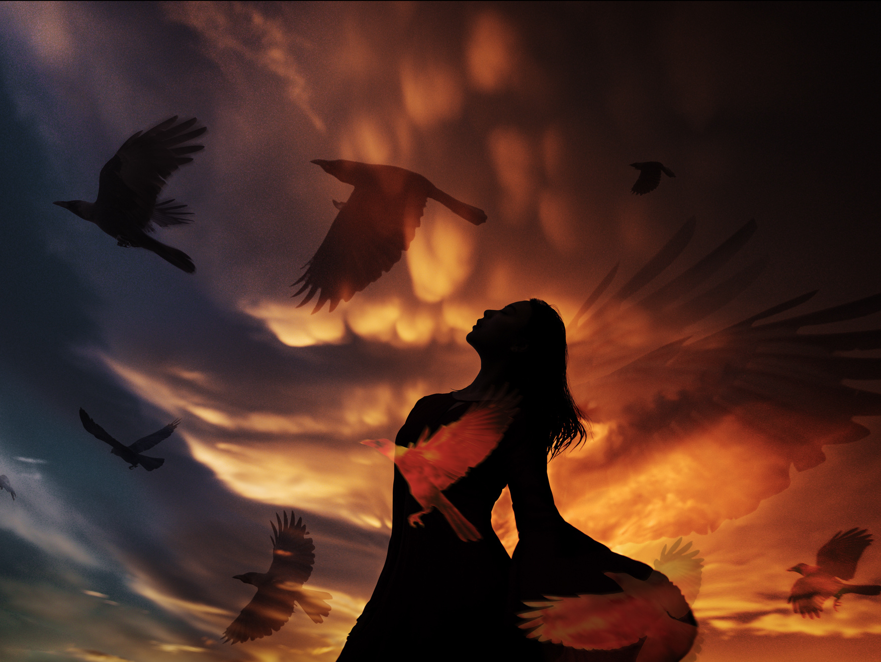 半梦半醒之间，风与海的梦境