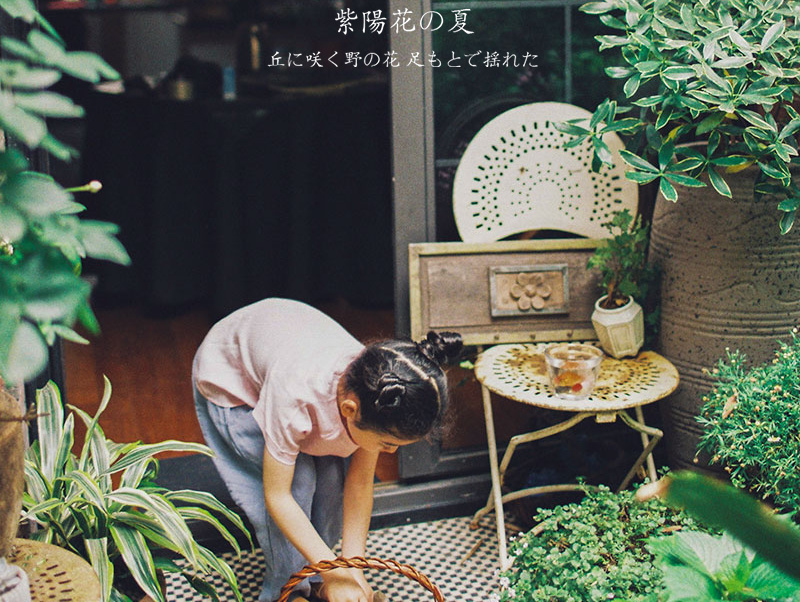 小米的夏天（四）——紫阳花庭院