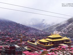 色达>五明佛学院>