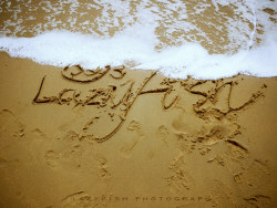 茶几游记 之【曾厝垵】