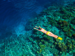 梦中的马尔代夫