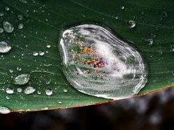 浅夏——偶阵雨