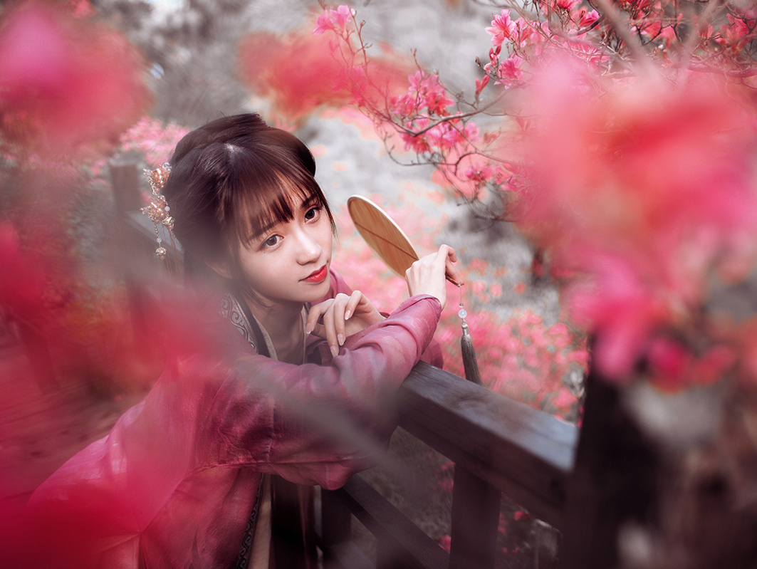 一路山花不负侬