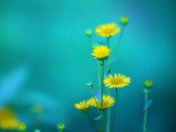 为自己的摄影（十）