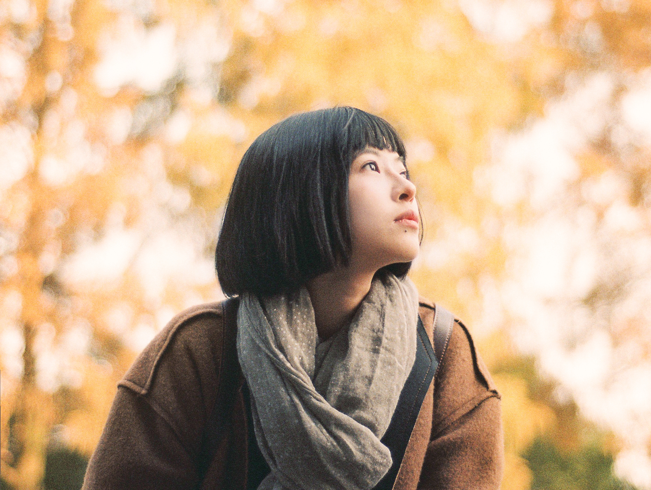 秋与馒头山社区