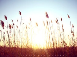 【十一PHOTO】愿世界温暖相待