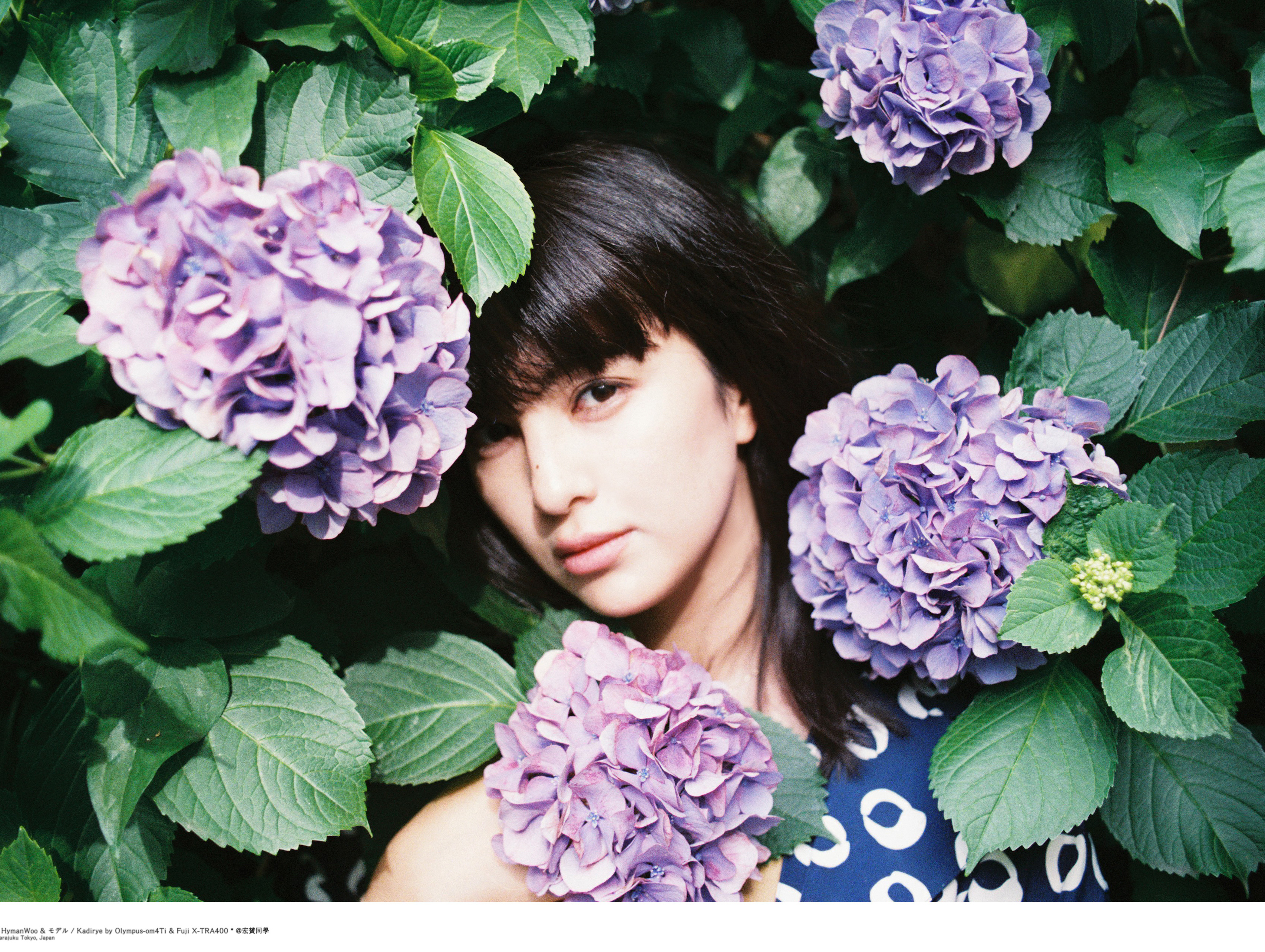 已然焦躁不安的 六月的初夏。