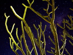 旅途-那些路上的星空（2）