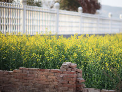 50L&nbsp;+&nbsp;85L&nbsp;样片&nbsp;#&nbsp;layy的时光机&nbsp;#