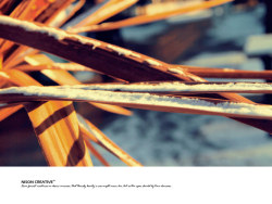 〖回忆Great Britain〗之冬天