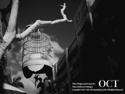 一个阳光惬意的午后