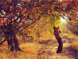 走在秋光里（续）