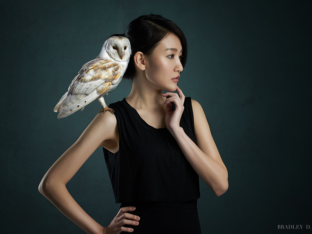 貓頭鷹女孩 / Girl with Owl