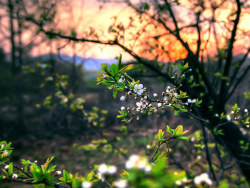 又一次四季轮回