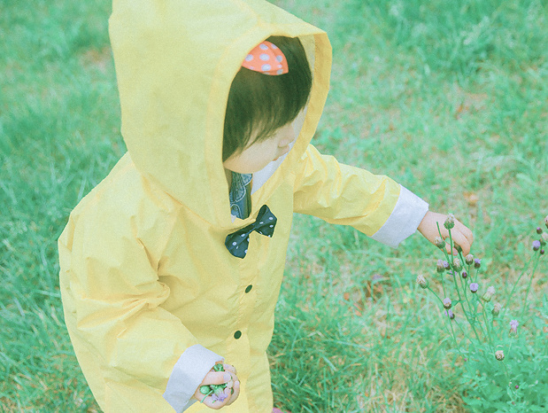 春の小雨が滴った