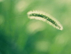 菲林《若无其事》Part - 1 # layy的时光机 #