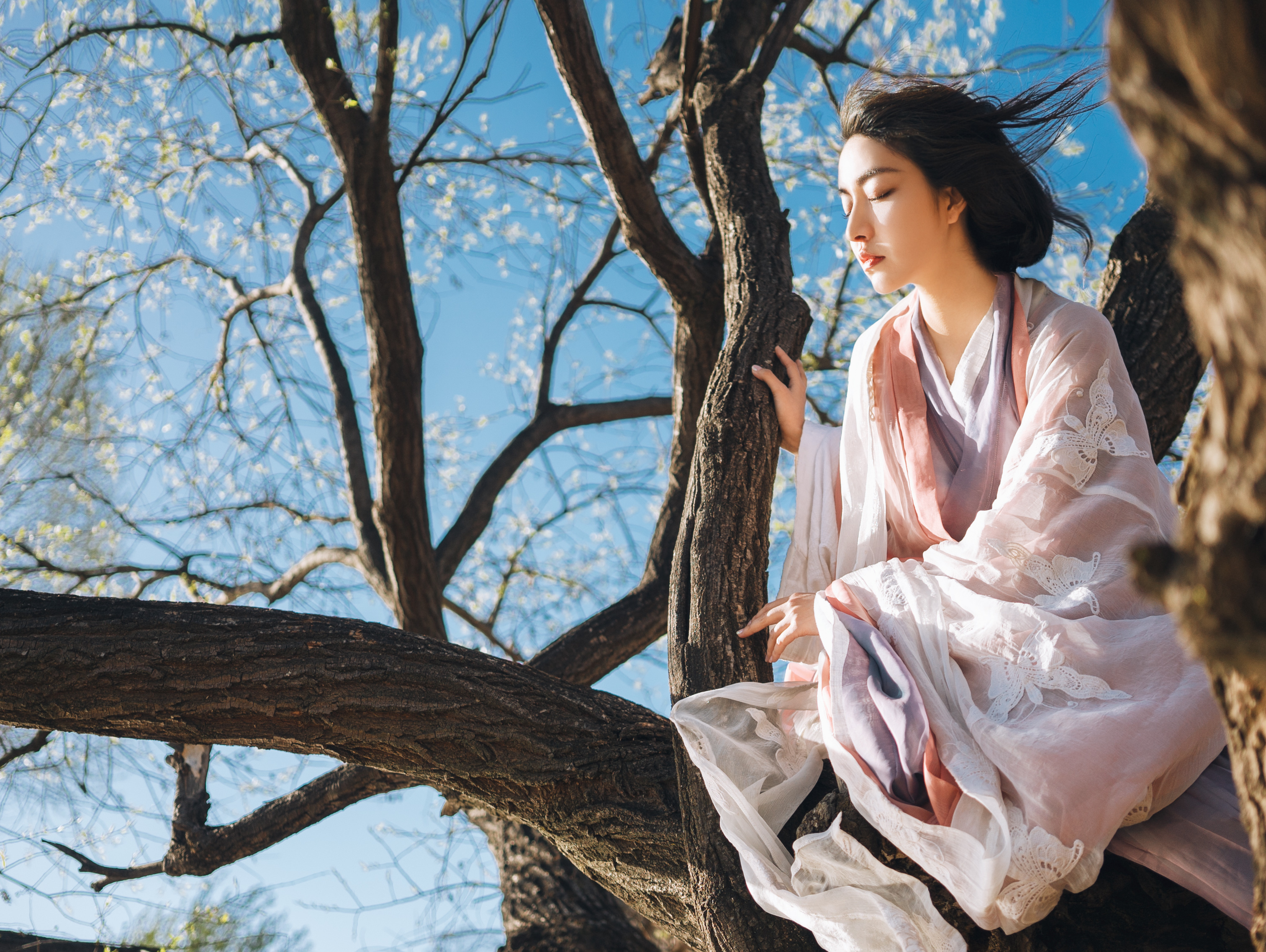 铁马秋风人去后，书剑寂寥枉凝眸