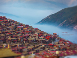  || 設計眼光去攝影 || 色达