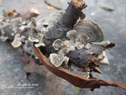 随手拍 不修片-云梦仙境