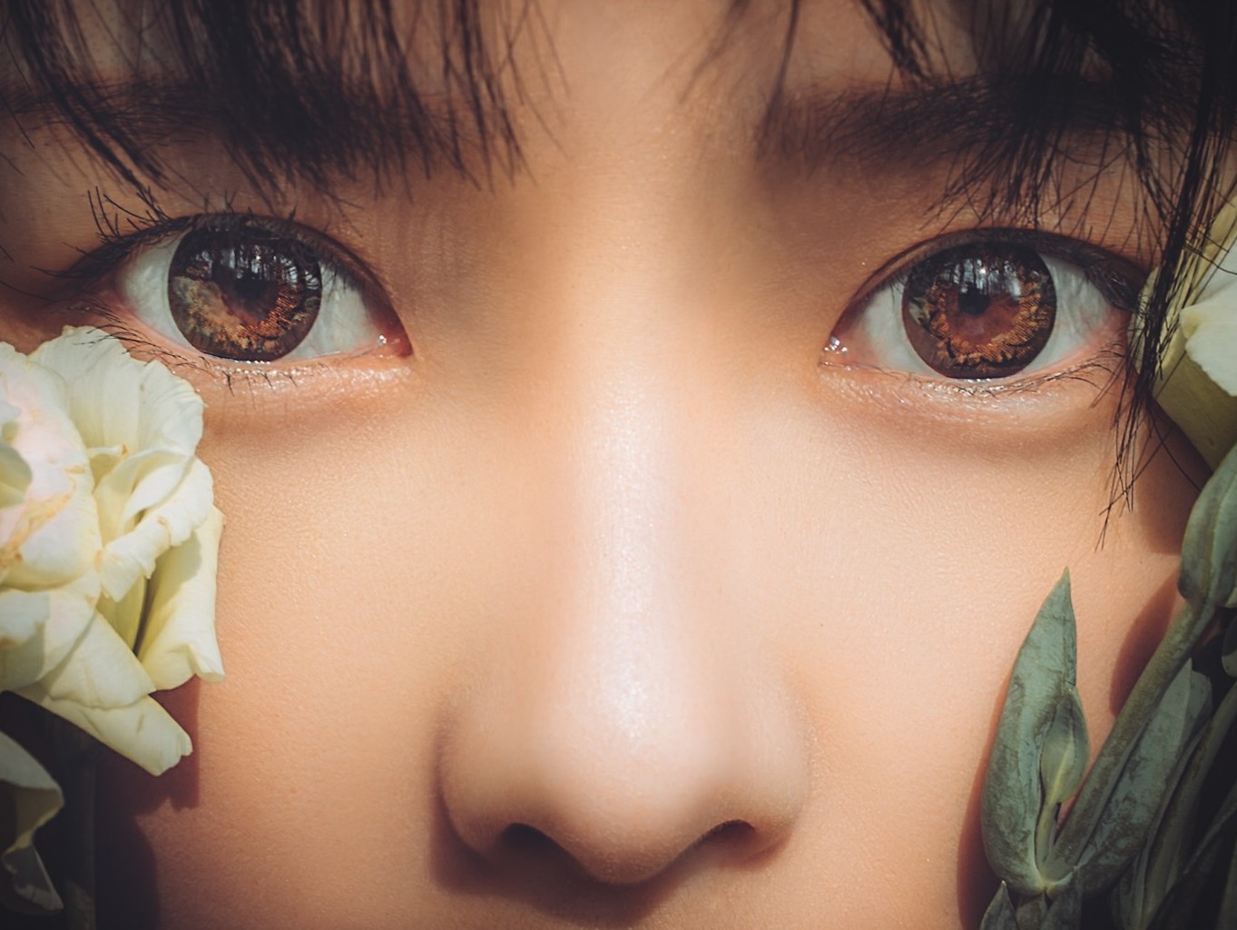 爱丽丝 梦游仙境