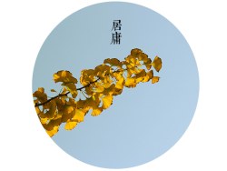 后知后觉·八大关