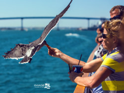 《美国-圣地亚哥》__想·享摄影