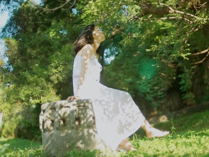 喜欢初夏透着光的树林