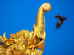 2013，我曾在云南……