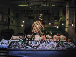 奥斯曼的忧伤土耳其