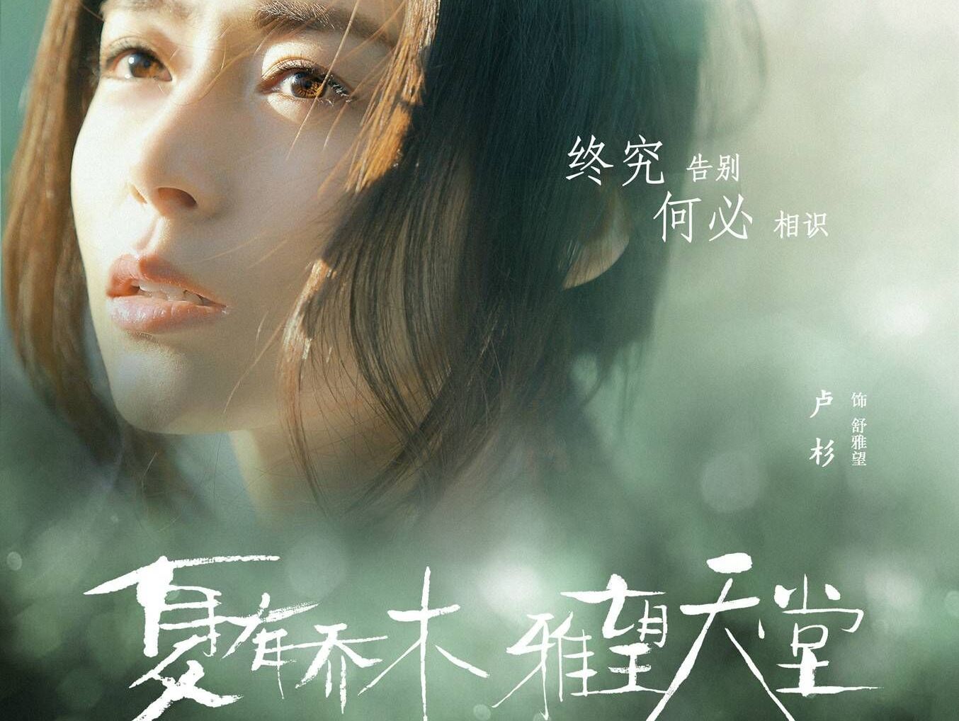 夏有乔木雅望天堂—卢杉