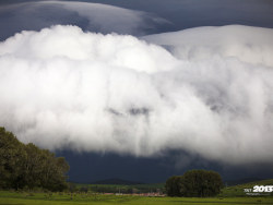 河北-张家口-沽源县-湿地保护区天鹅湖畔 